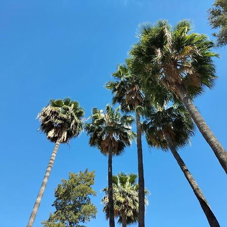 Отель Vas Malaga Ciudad Экстерьер фото