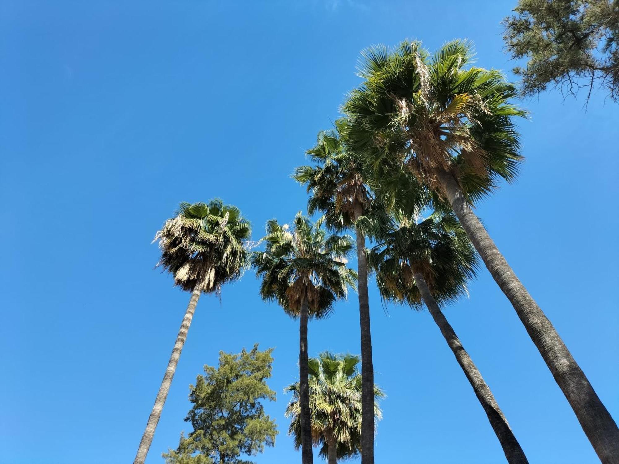 Отель Vas Malaga Ciudad Экстерьер фото